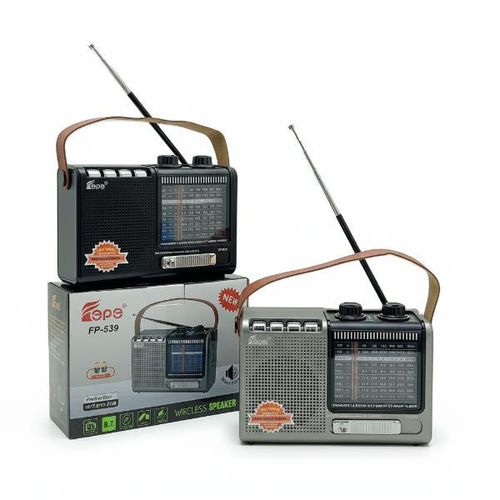 product_image_name-Fepe-Radio / Haut-parleur Bluetooth Multibande - Batterie rechargeable - Support carte memoire-1