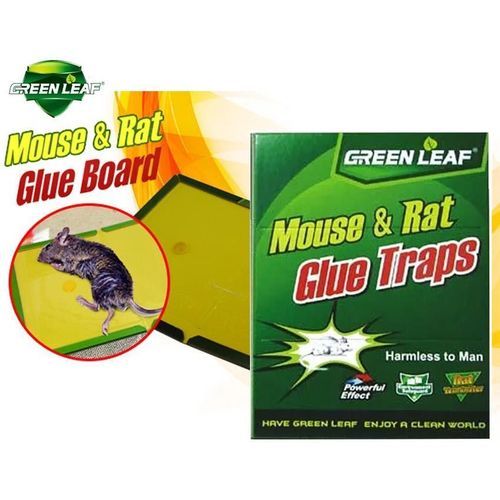 Green Leaf 4 Pièges à leurre pour souris et rat panneaux collants