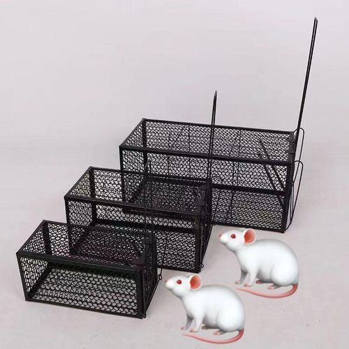 product_image_name-Generic-Cage Piège pour rats, souris, tamias, rongeurs, campagnols...-1