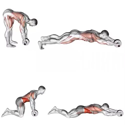 product_image_name-Generic-Roue Abdominale Double (Ab Wheel) avec tapis de fitness grand modele-3