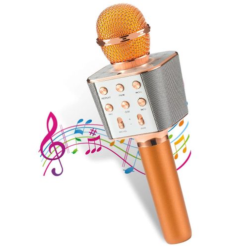 Micro Karaoke Enfant ,Microphone Sans Fil Karaoké, Micro Karaoke