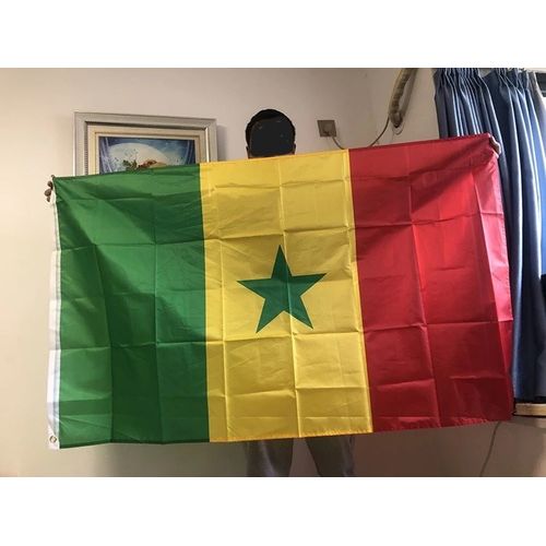 Drapeau: Sénégal | portrait flag | 3.5m² | 300x120cm