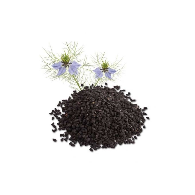 Generic GRAINES DE NIGELLE 1/2KG - Prix pas cher