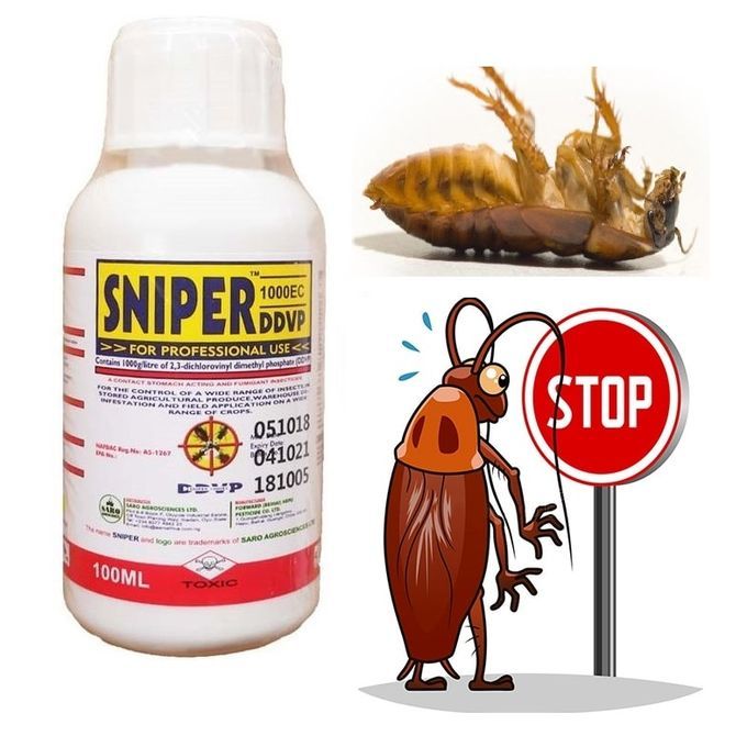 Cafards, punaises de lit… l'insecticide Sniper responsable d'une